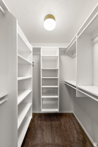 301 South 1200th Street East, Unit 31 St. George, UT 84790 - Photo 6 of 21 Walk in closet with dark colored carpet