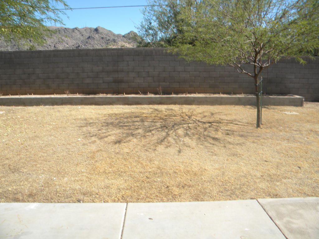 15 West Hayduk Road Phoenix, AZ 85041 - Photo 2 of 18 Backyard