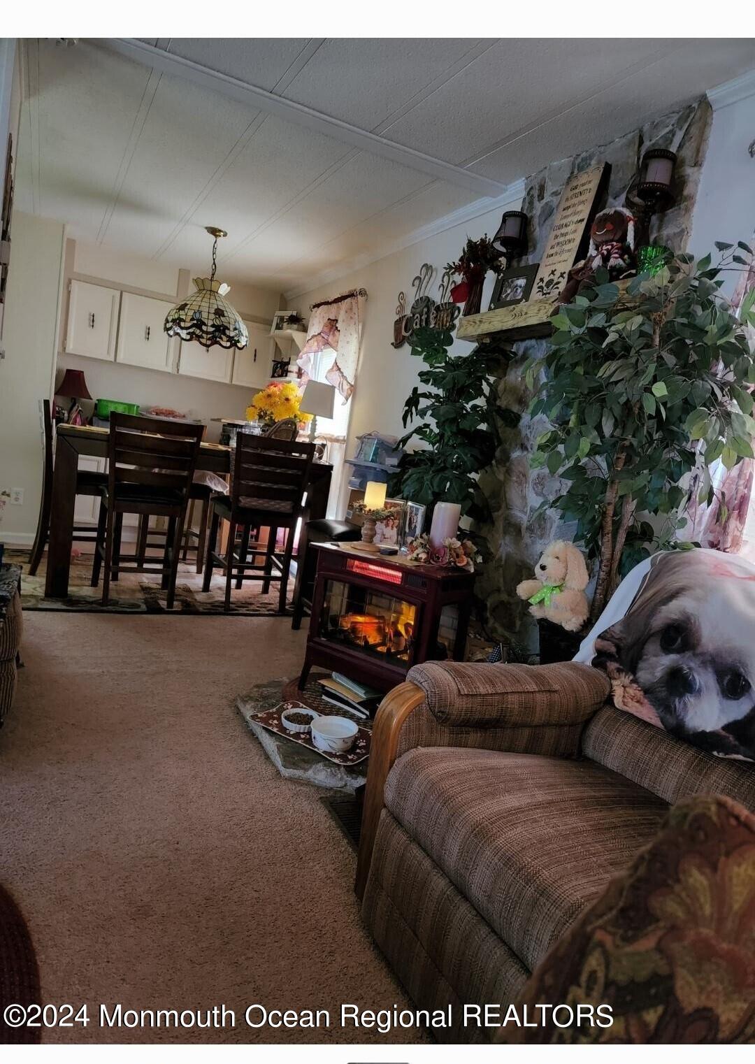 8 Eagle Road Jackson, NJ 08527 - Photo 8 of 21 8 Eagle Living room looking into din are