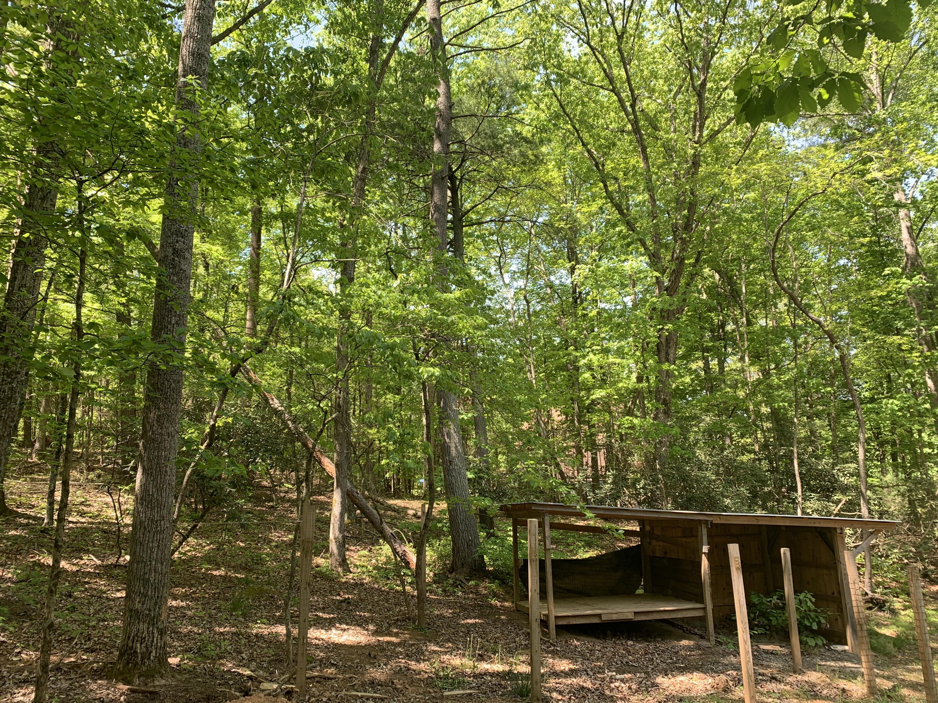 357 London Ridge Road Boones Mill, VA 24065 - Photo 22 of 28 a view of house with a tree