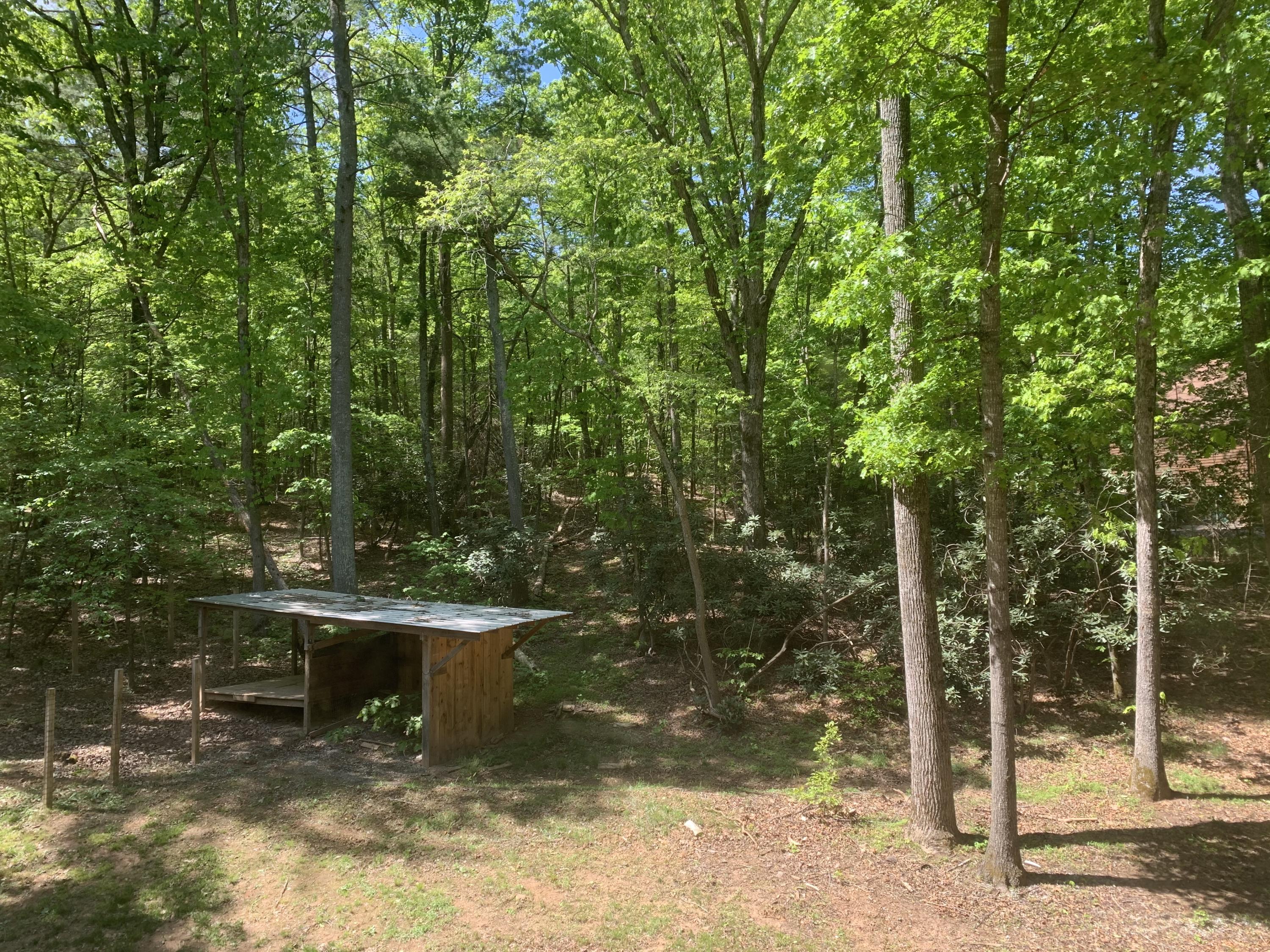 357 London Ridge Road Boones Mill, VA 24065 - Photo 24 of 28 a view of a garden with a bench