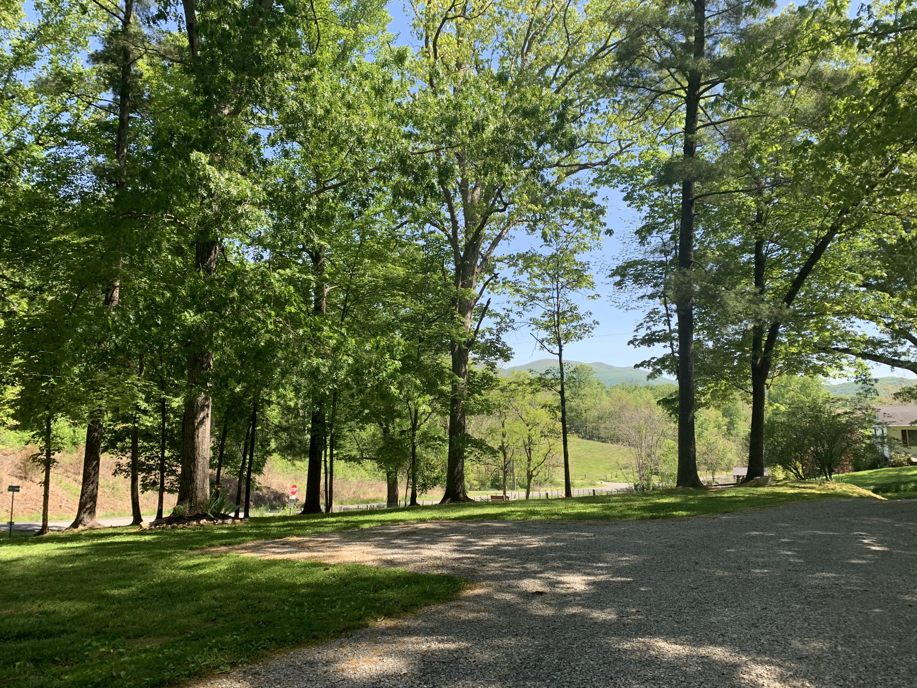 357 London Ridge Road Boones Mill, VA 24065 - Photo 28 of 28 a view of a park that has large trees