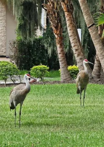 $385,000 | 3612 Northwoods Drive, Kissimmee, FL 34746