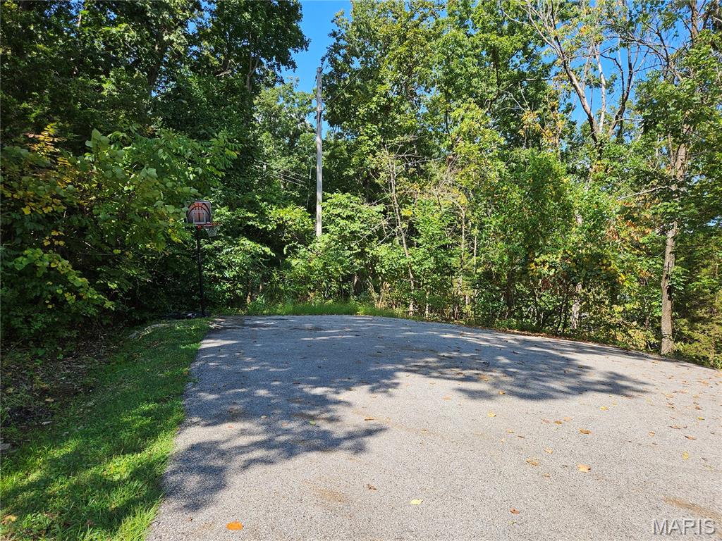 10101 Lake Ridge Court Hillsboro, MO 63050 - Photo 3 of 10