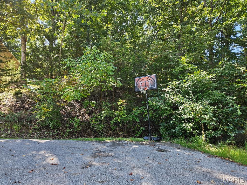 10101 Lake Ridge Court Hillsboro, MO 63050 - Photo 4 of 10