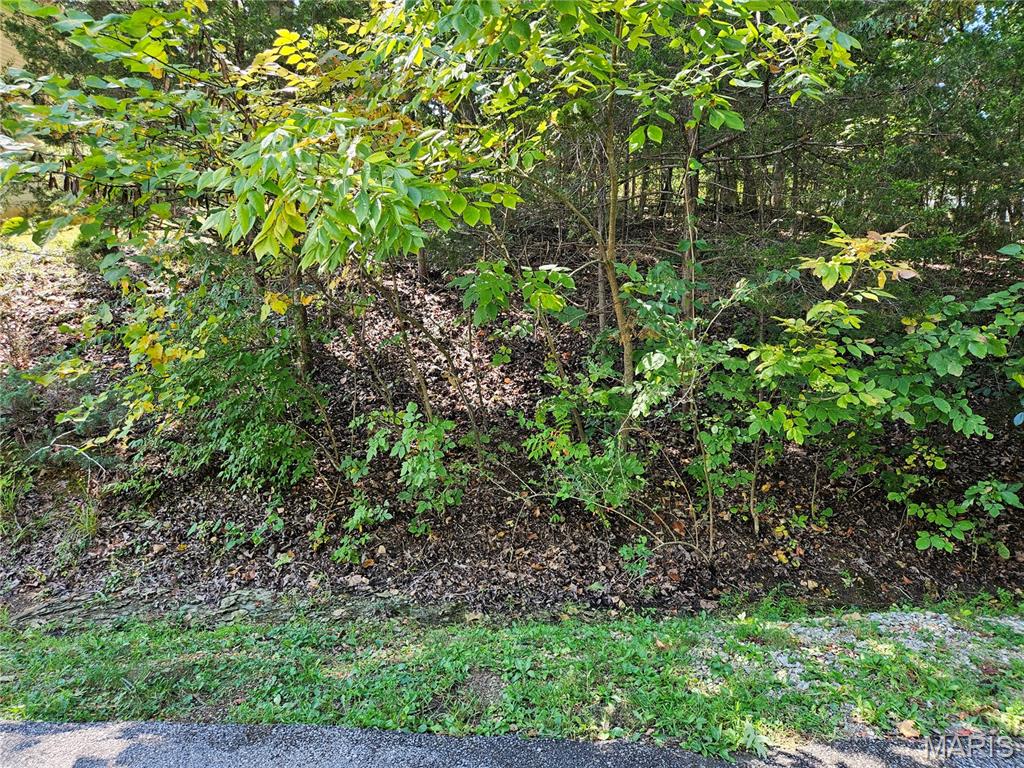 10101 Lake Ridge Court Hillsboro, MO 63050 - Photo 5 of 10