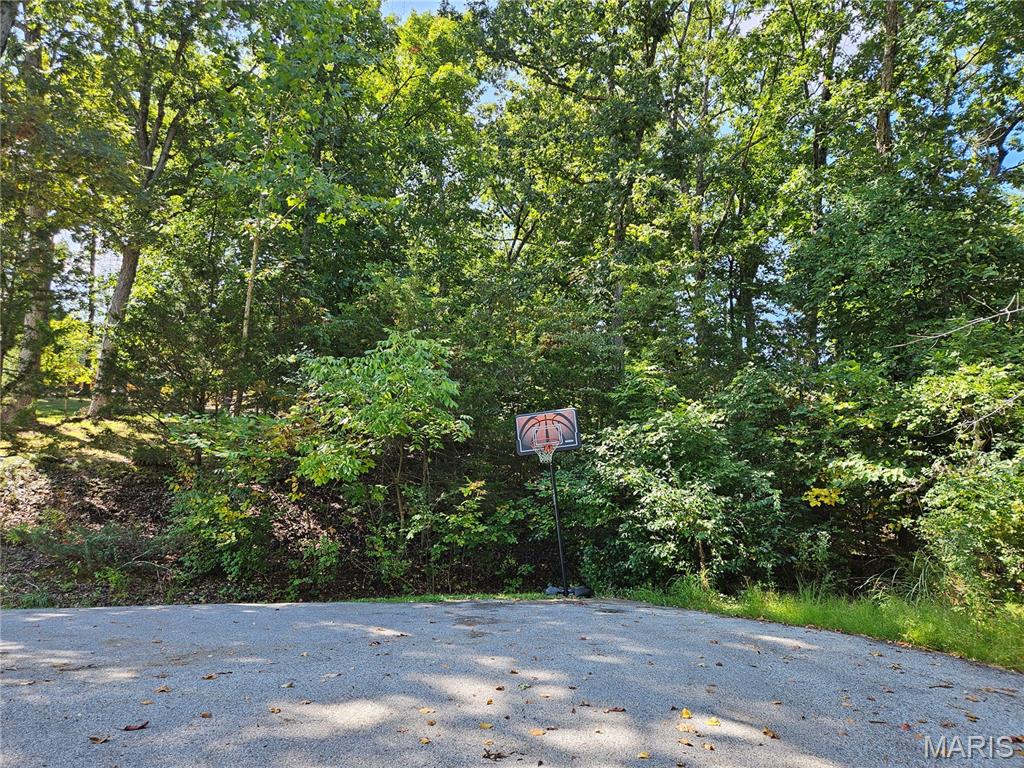 10101 Lake Ridge Court Hillsboro, MO 63050 - Photo 6 of 10