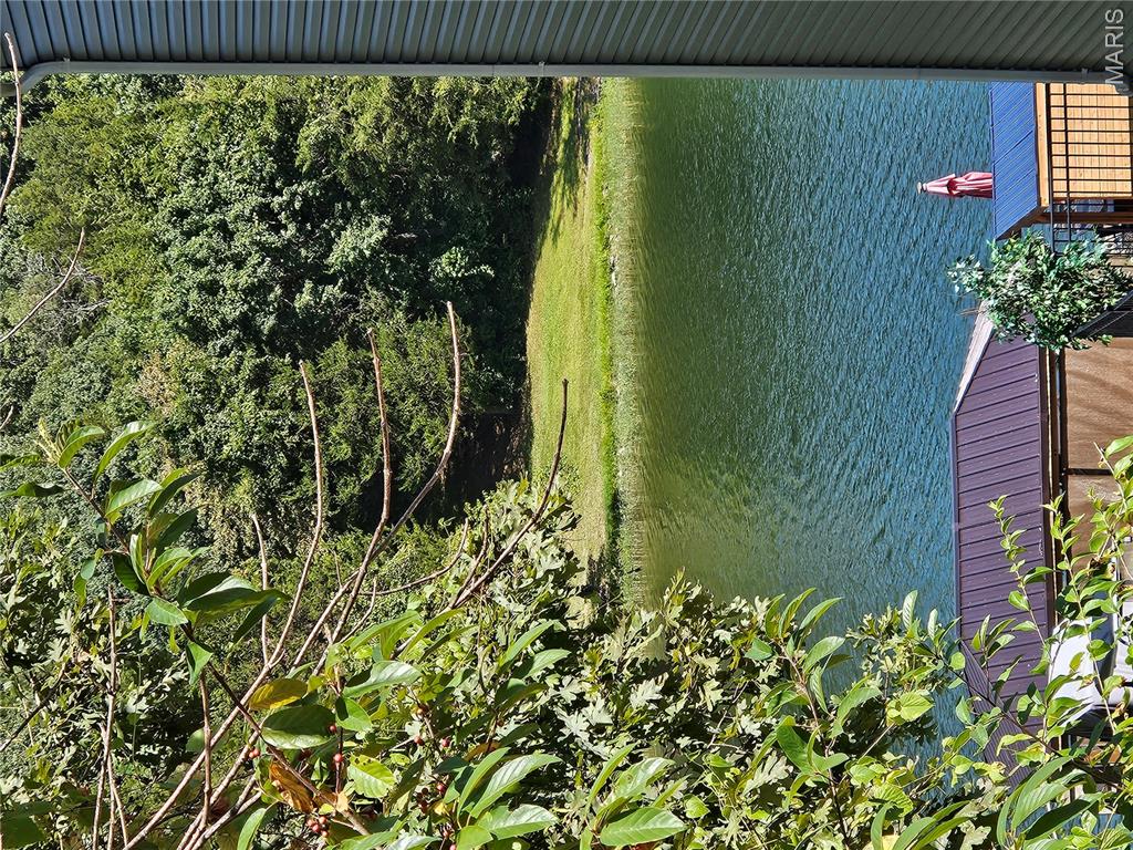 10101 Lake Ridge Court Hillsboro, MO 63050 - Photo 7 of 10