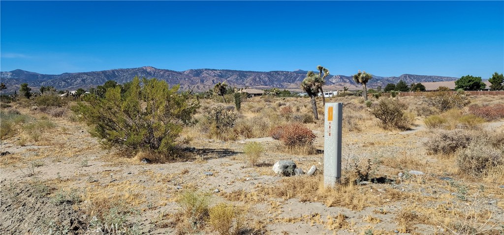 1 Evergreen Road Pinon Hills, CA 92372 - Photo 23 of 45 Gallery Image 23