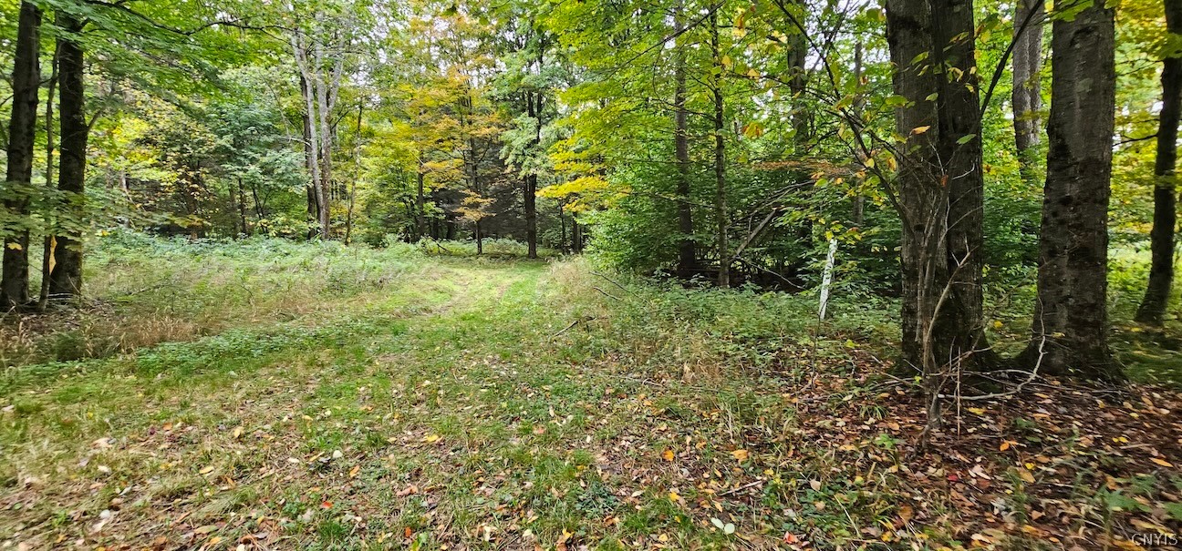 5099 Conrad Road Willet, NY 13040 - Photo 39 of 50 Gallery Image 39