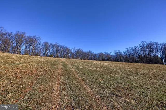 a view of a field with trees in the background