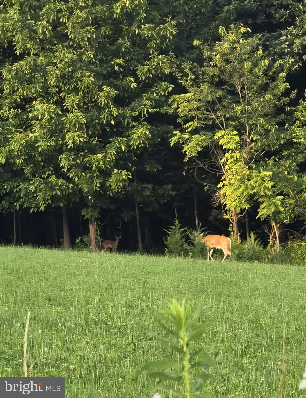 2071 Burkholder Road Red Lion, PA 17356 - Photo 3 of 15