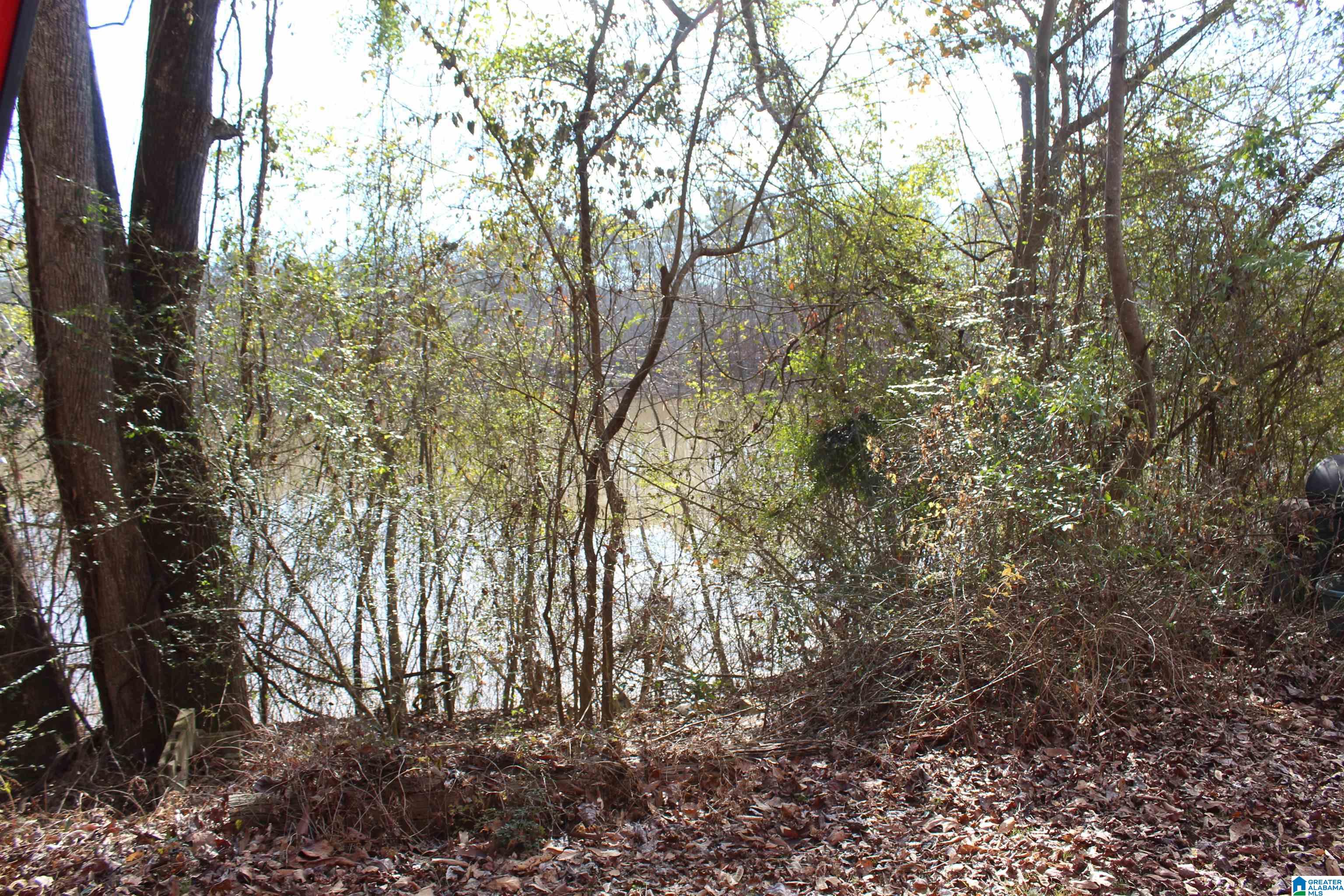 0 Cherokee Drive, Unit 403 02/1 Ragland, AL 35131 - Photo 3 of 9