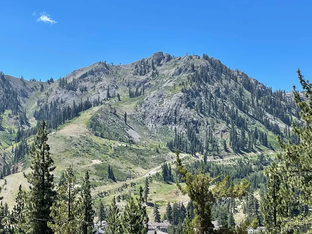 a view of a dry yard with mountains in the background