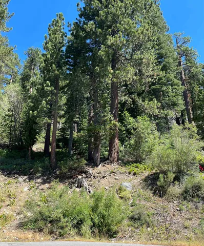 a view of outdoor space and trees