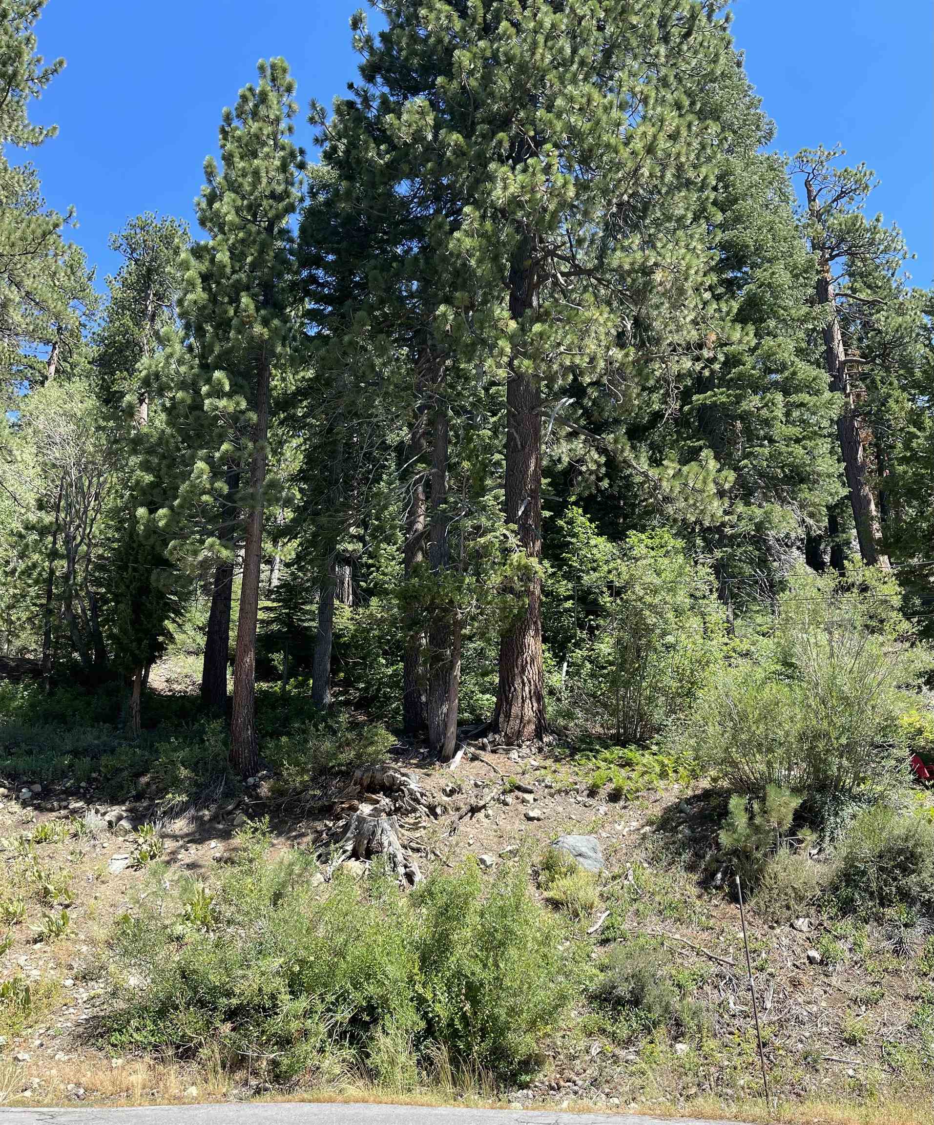 1880 Apache Court Olympic Valley, CA 96146 - Photo 4 of 8 a view of outdoor space and trees