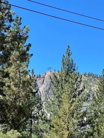 view of a green field
