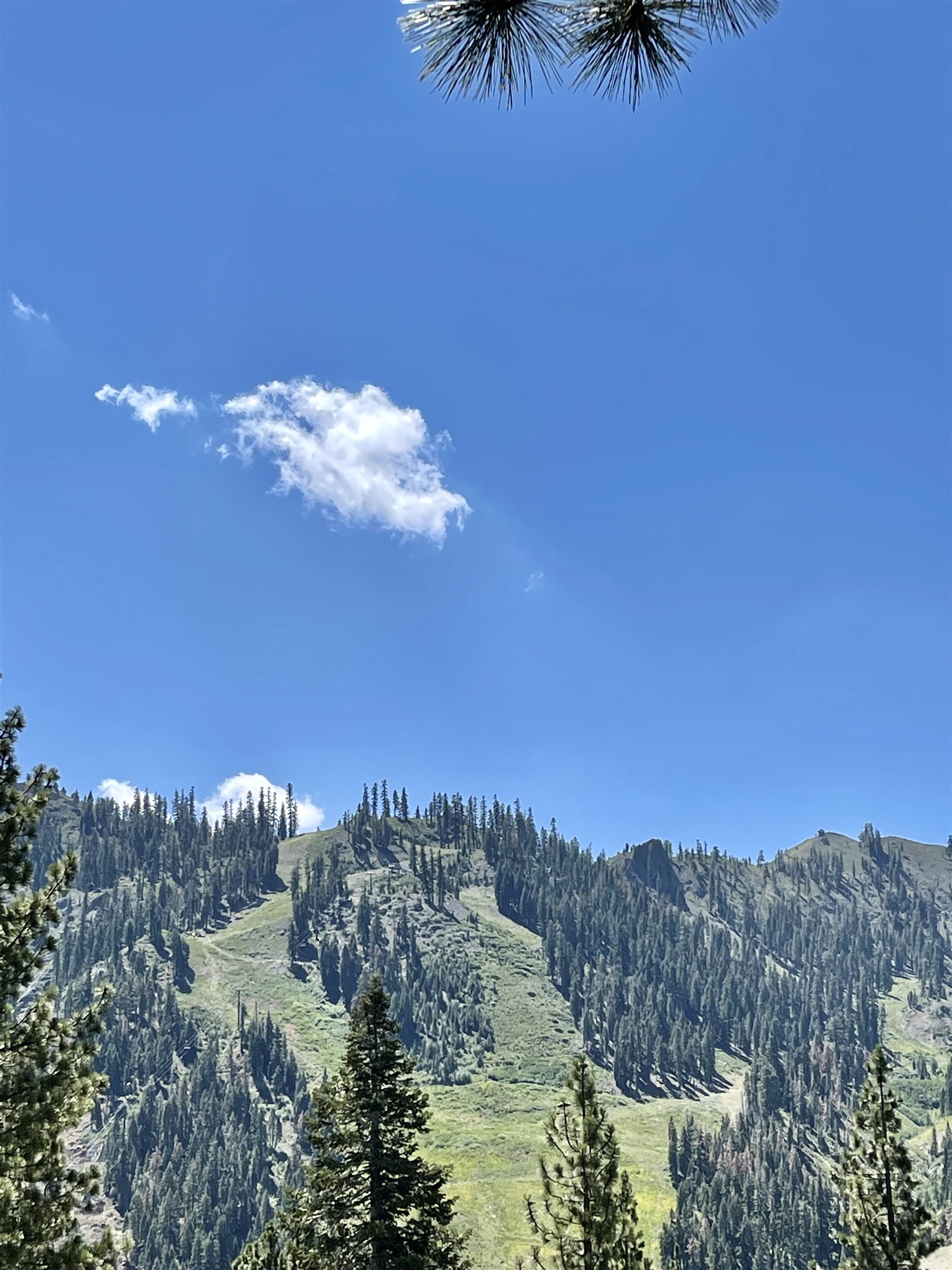 1880 Apache Court Olympic Valley, CA 96146 - Photo 8 of 8 a view of a house with a street