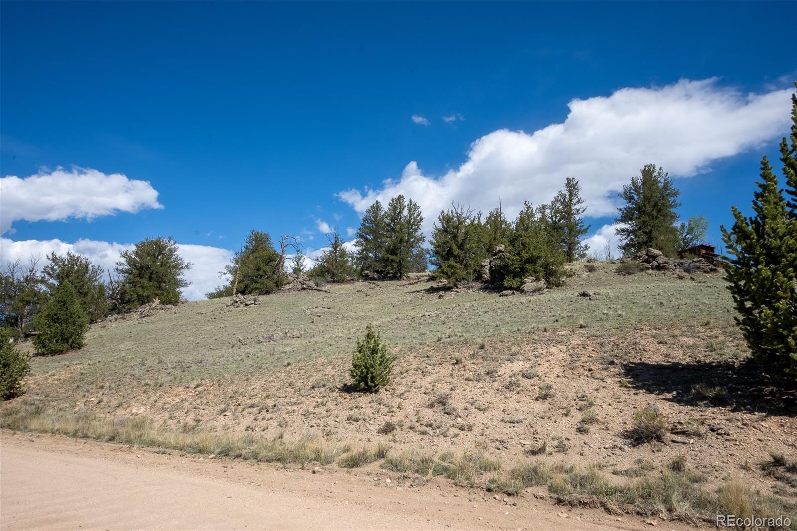 4484 Remington Road Jefferson, CO 80456 - Photo 3 of 12