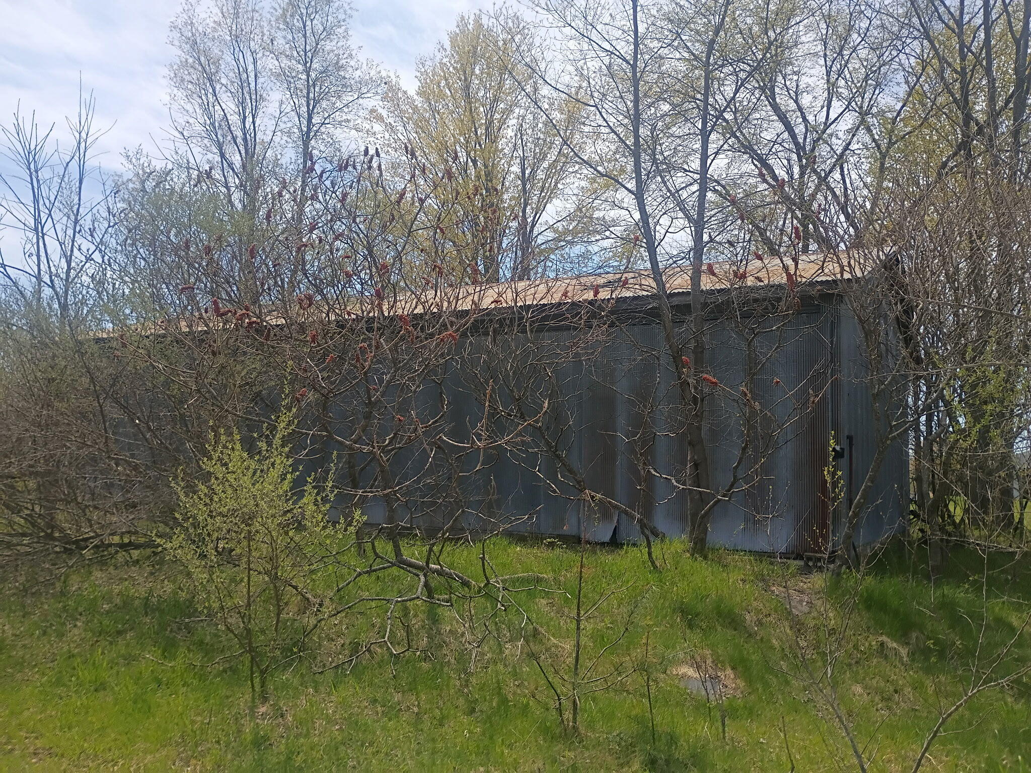 7015 East Harrison Road Walkerville, MI 49459 - Photo 18 of 23 IMG_20260530_145742 (10)