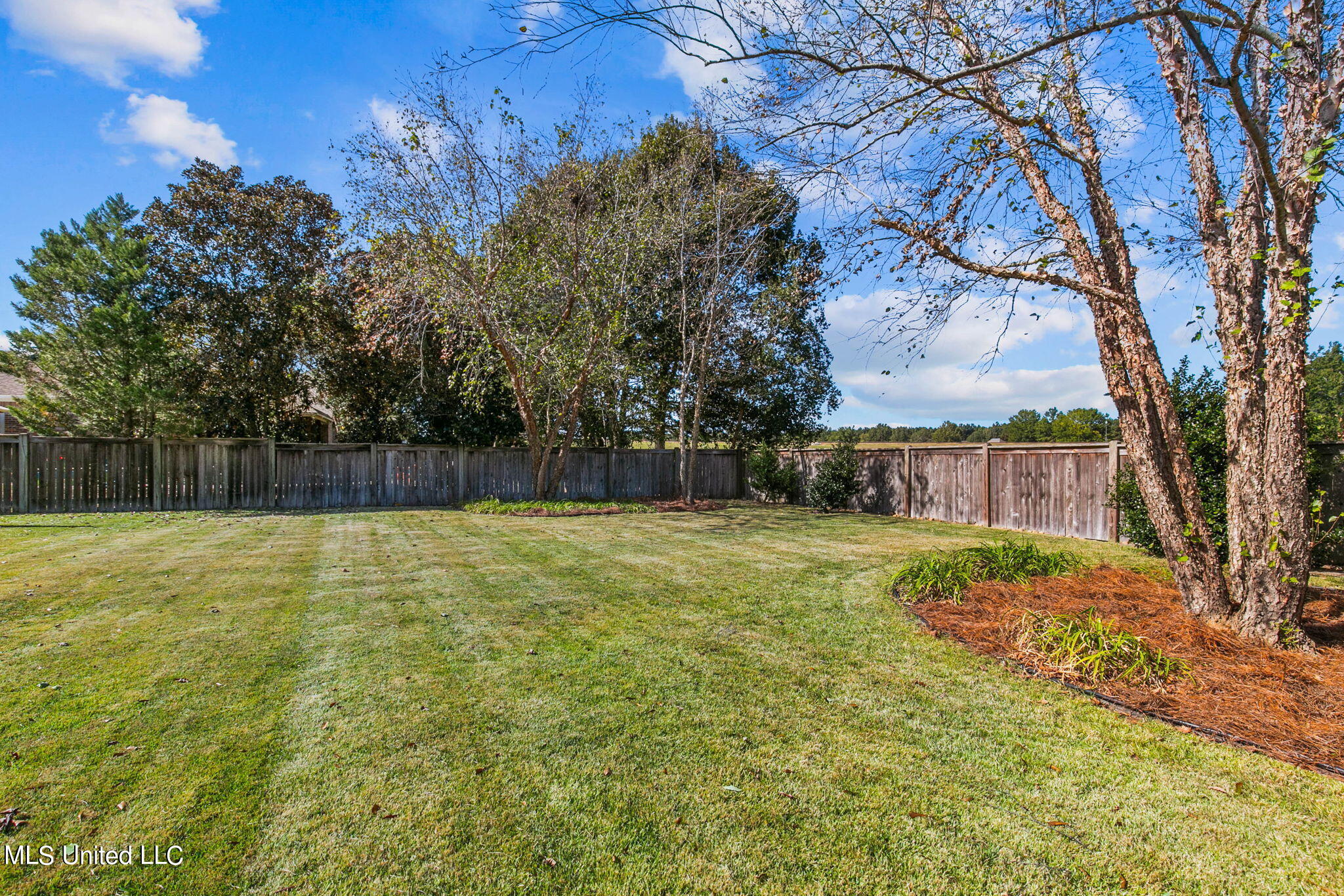 706 Danforth Drive Madison, MS 39110 - Photo 35 of 41 14-web-or-mls-706 Danforth-14