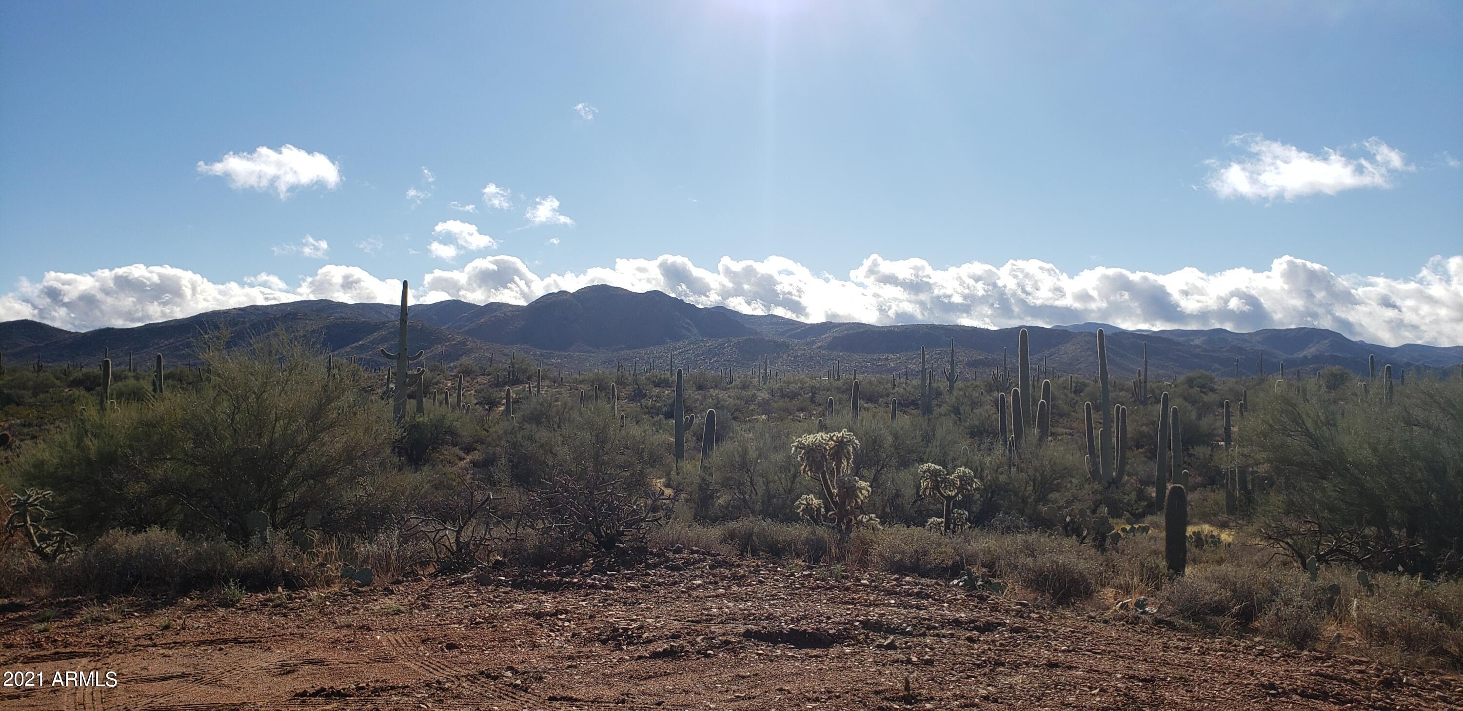 0 North Eastview Road Marana, AZ 85658 - Photo 18 of 18 20211210_100405