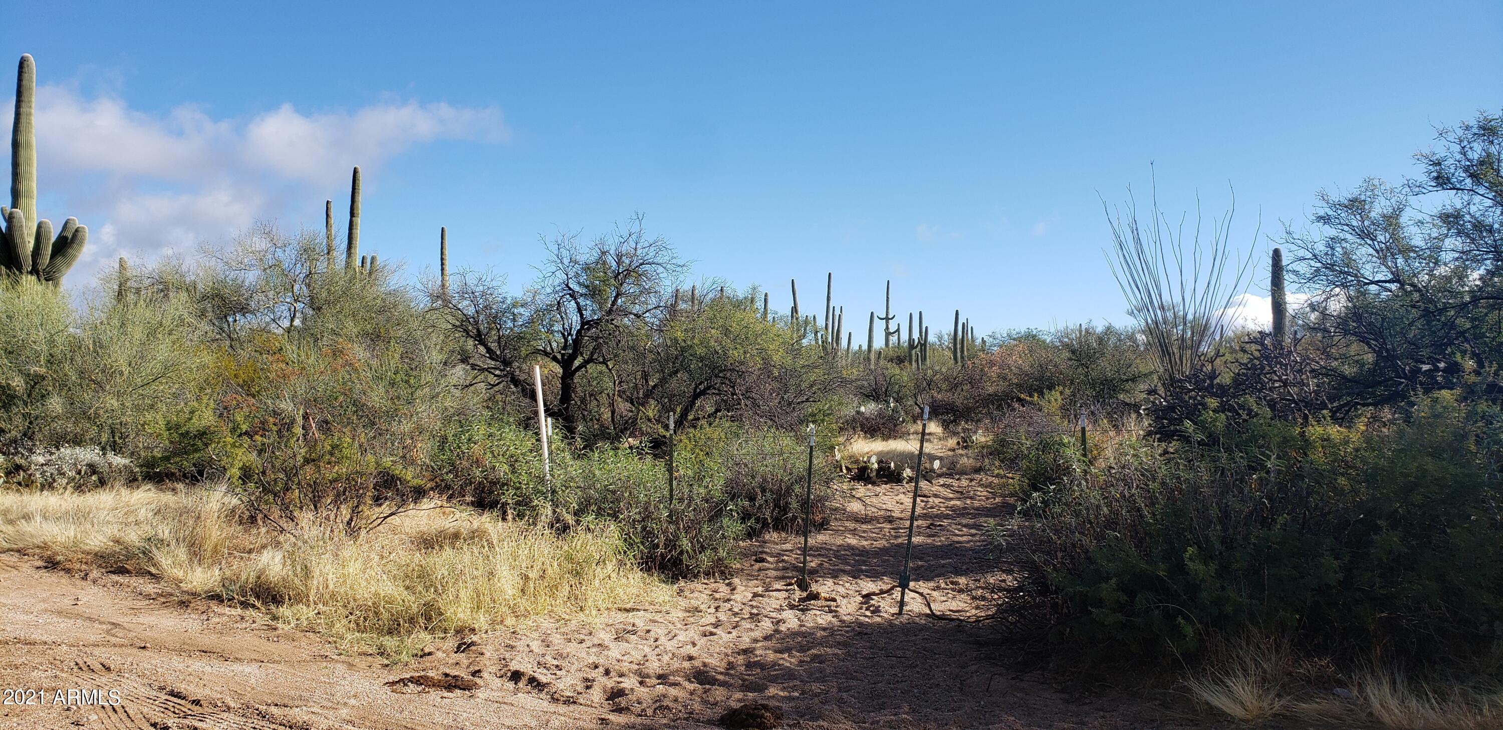 0 North Eastview Road Marana, AZ 85658 - Photo 6 of 18 20211210_095821