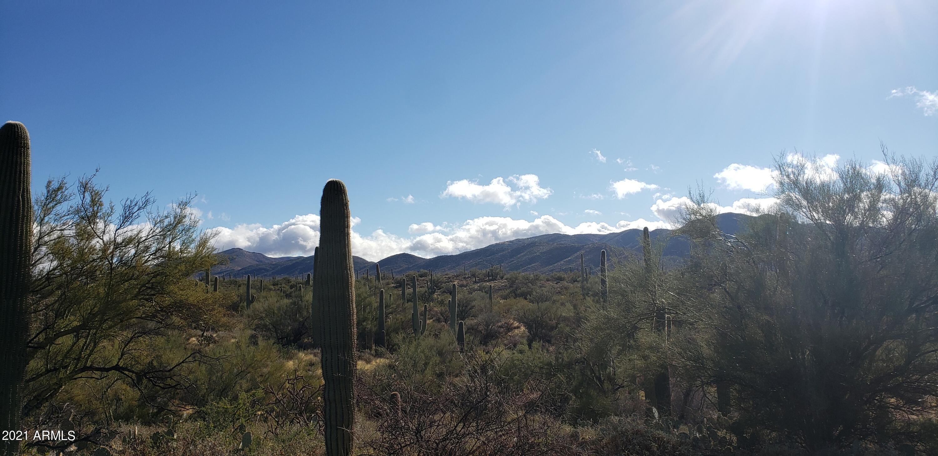 0 North Eastview Road Marana, AZ 85658 - Photo 8 of 18 20211210_095935