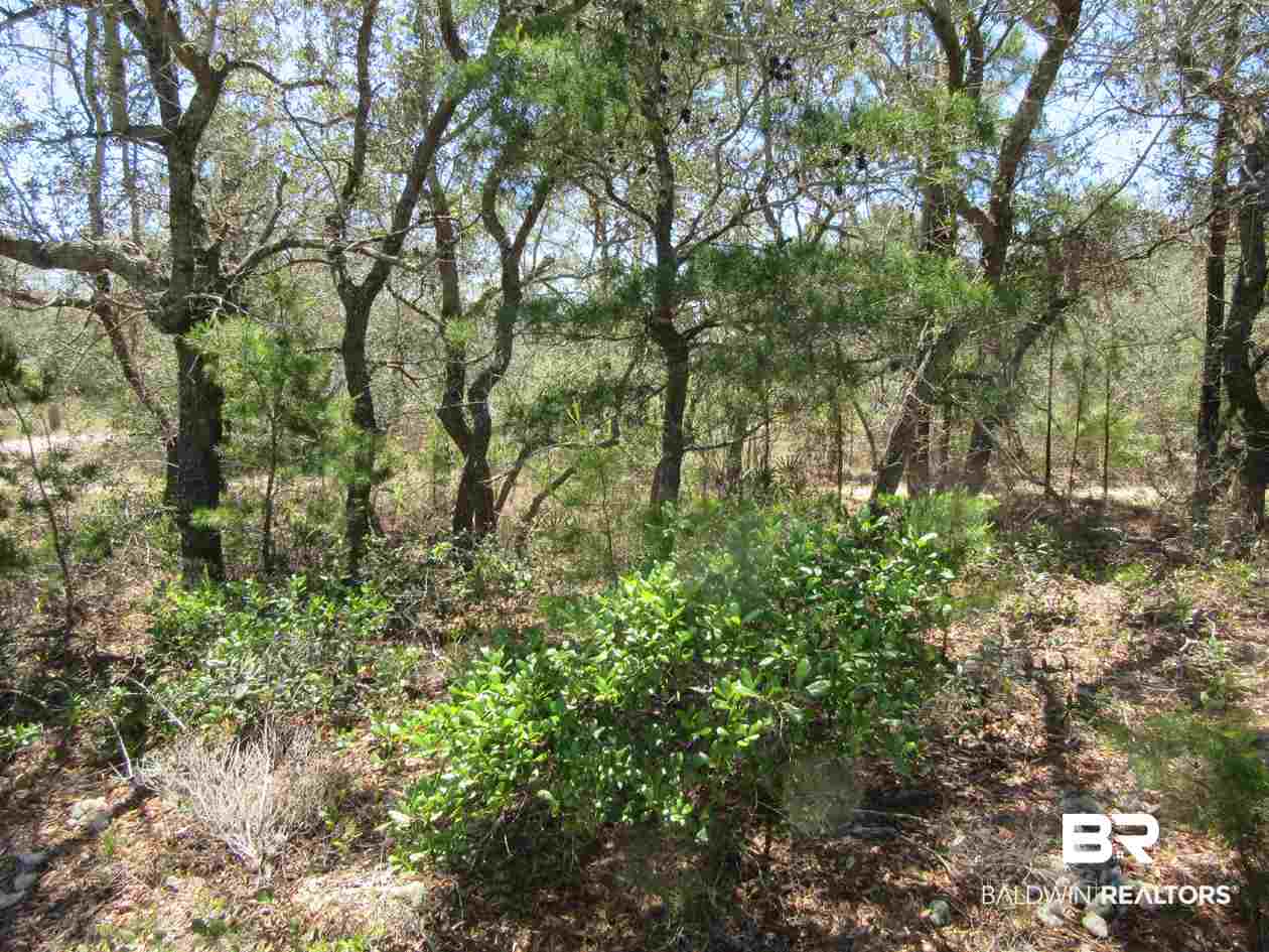 Zeanah Road Gulf Shores, AL 36542 - Photo 3 of 15