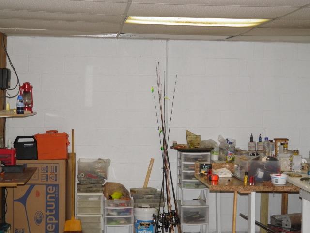 2774 Cole Ridge Road Beechgrove, TN 37018 - Photo 15 of 20 Basement