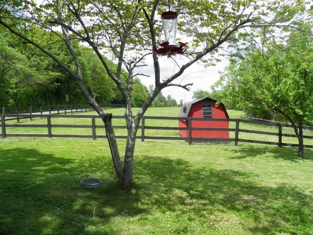 2774 Cole Ridge Road Beechgrove, TN 37018 - Photo 16 of 20 Beautiful acreage with storage building.