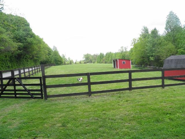 2774 Cole Ridge Road Beechgrove, TN 37018 - Photo 17 of 20 Fenced acreage.