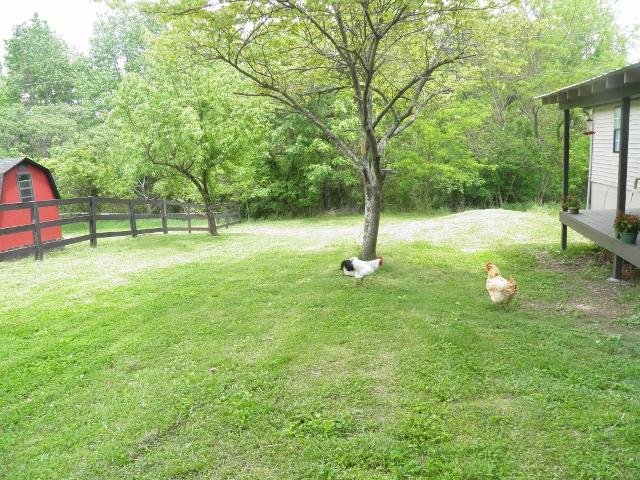 2774 Cole Ridge Road Beechgrove, TN 37018 - Photo 18 of 20 Acreage with mature trees giving shade. Cute chickens!