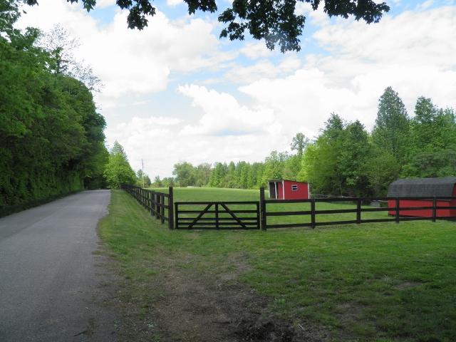 2774 Cole Ridge Road Beechgrove, TN 37018 - Photo 19 of 20 Street view.