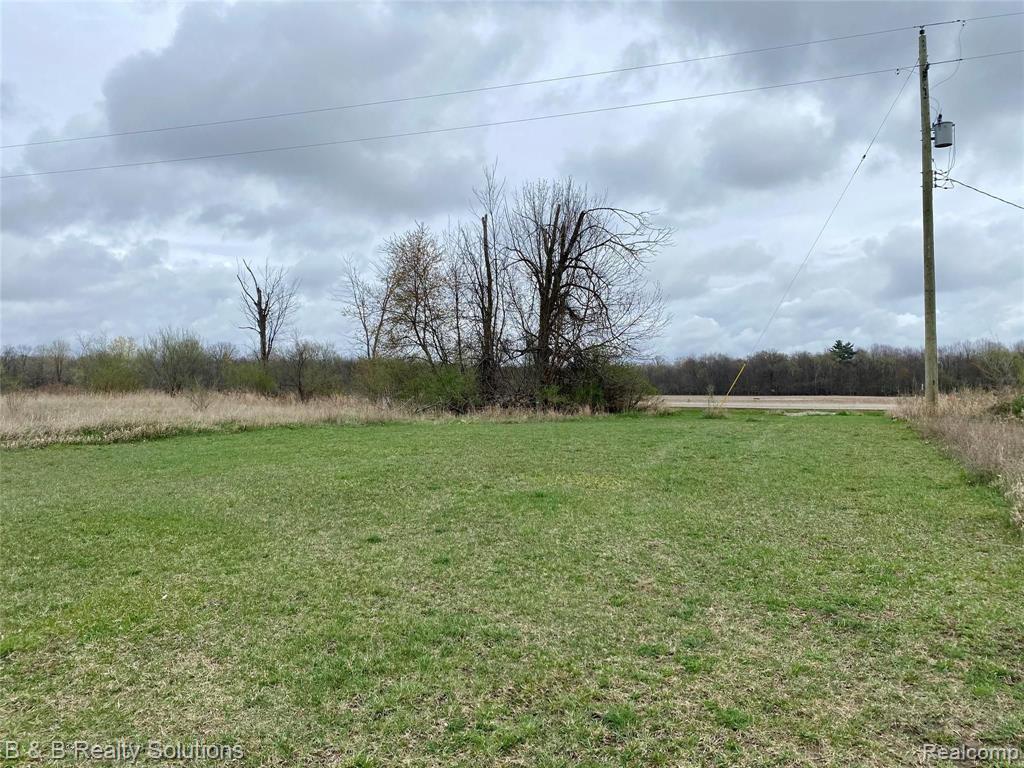 0 Turtle Lake Road North Branch, MI 48461 - Photo 11 of 14