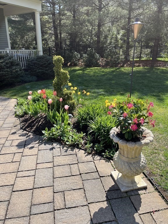 19 Whippoorwill Lane Concord, MA 01742 - Photo 28 of 33 a garden with flowers and trees