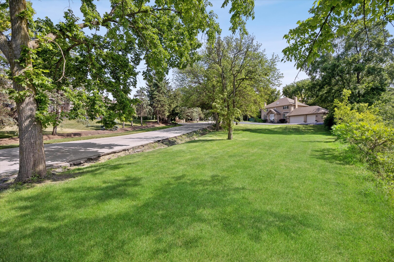 11131 Dineff Road Lemont, IL 60439 - Photo 2 of 37