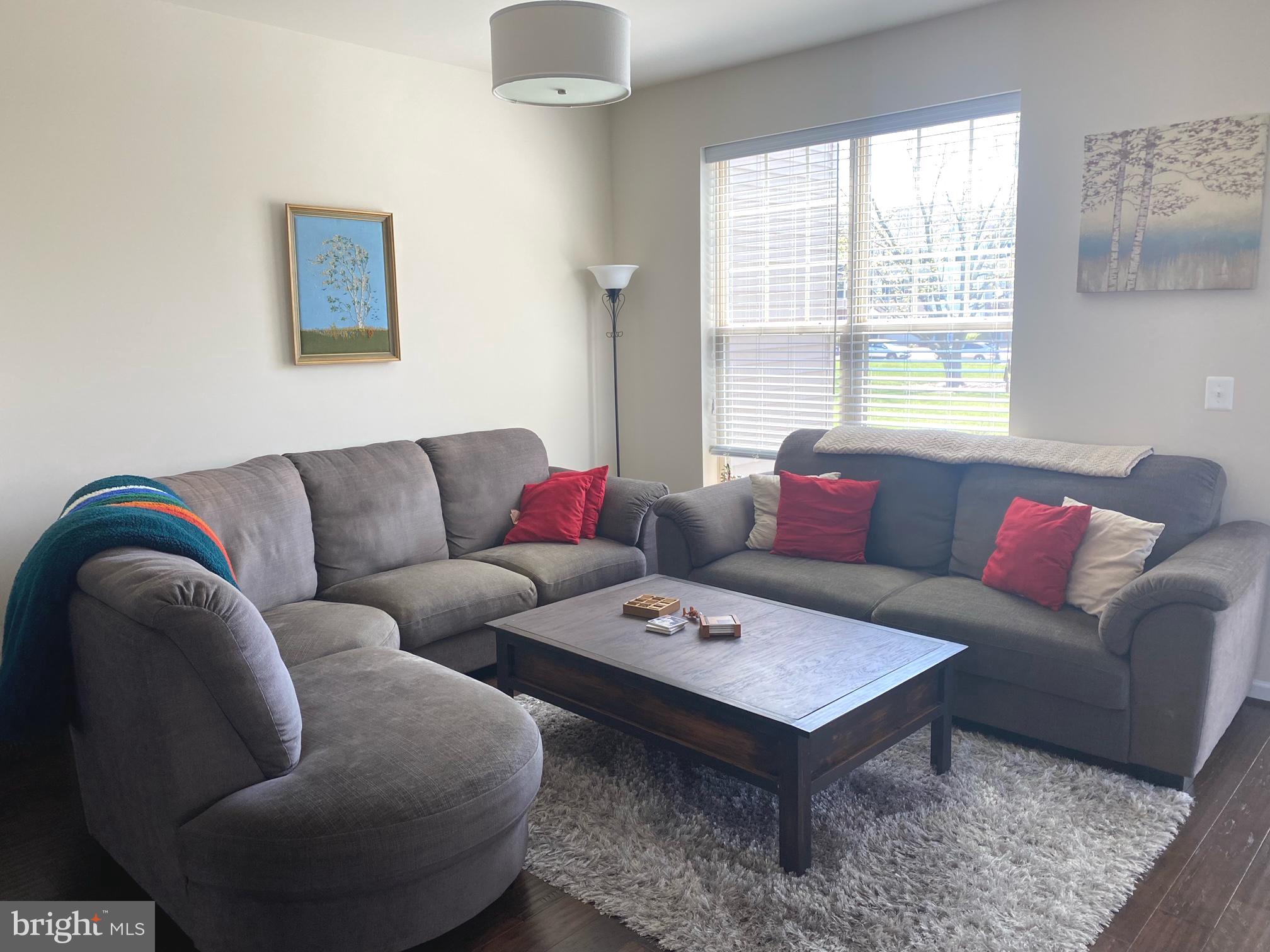 43345 Polenta Terrace Chantilly, VA 20152 - Photo 17 of 43 Living Room with Natural light from large windows