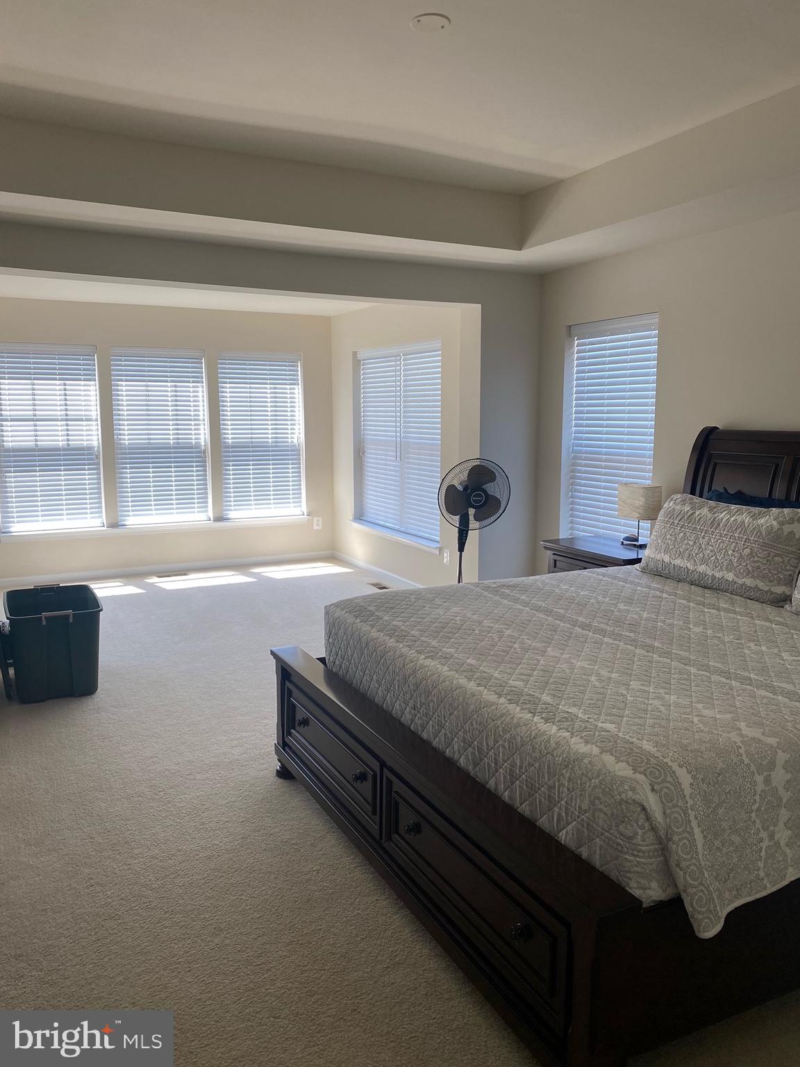 43345 Polenta Terrace Chantilly, VA 20152 - Photo 22 of 43 View from the entrance of the Primary Bedroom