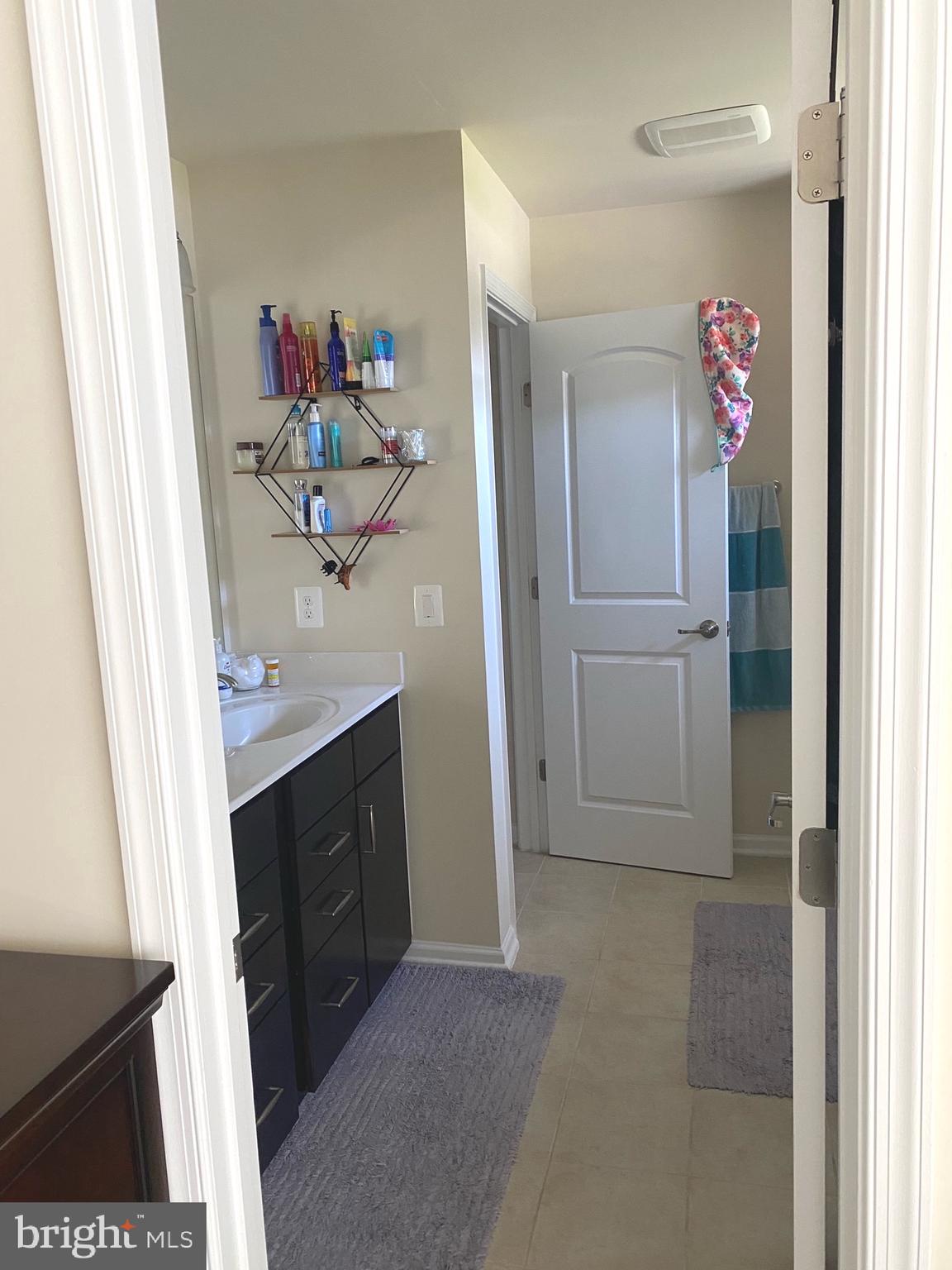 43345 Polenta Terrace Chantilly, VA 20152 - Photo 25 of 43 Primary Bathroom closet