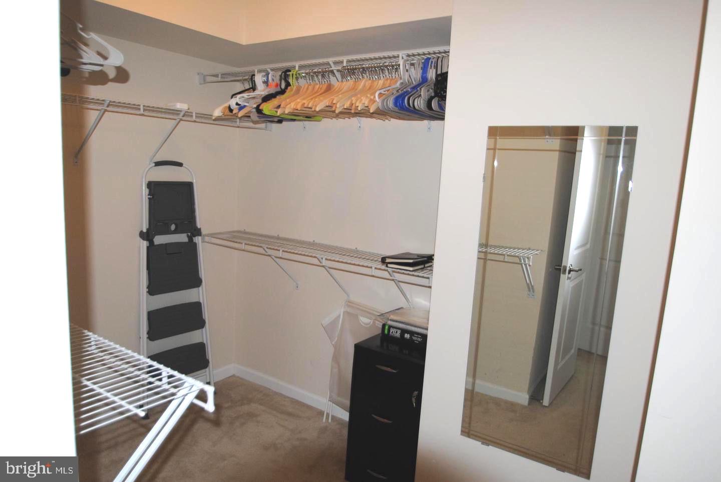 43345 Polenta Terrace Chantilly, VA 20152 - Photo 26 of 43 Primary Walk In Closet