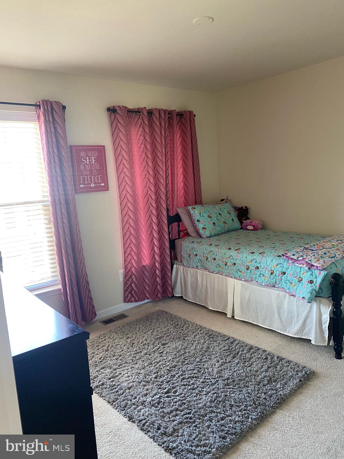 43345 Polenta Terrace Chantilly, VA 20152 - Photo 29 of 43 3rd Bedroom on Upper Level