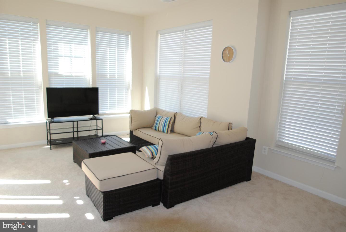 43345 Polenta Terrace Chantilly, VA 20152 - Photo 35 of 43 Recreation Room with ample natural light