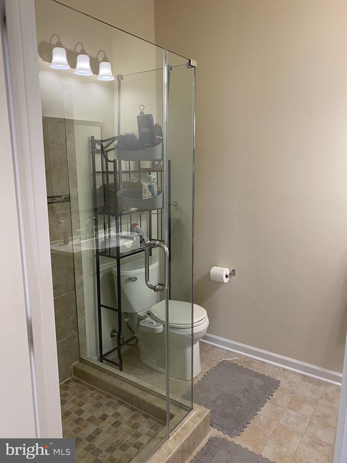 43345 Polenta Terrace Chantilly, VA 20152 - Photo 40 of 43 Lower Level Full 3rd Bathroom w/enclosed shower