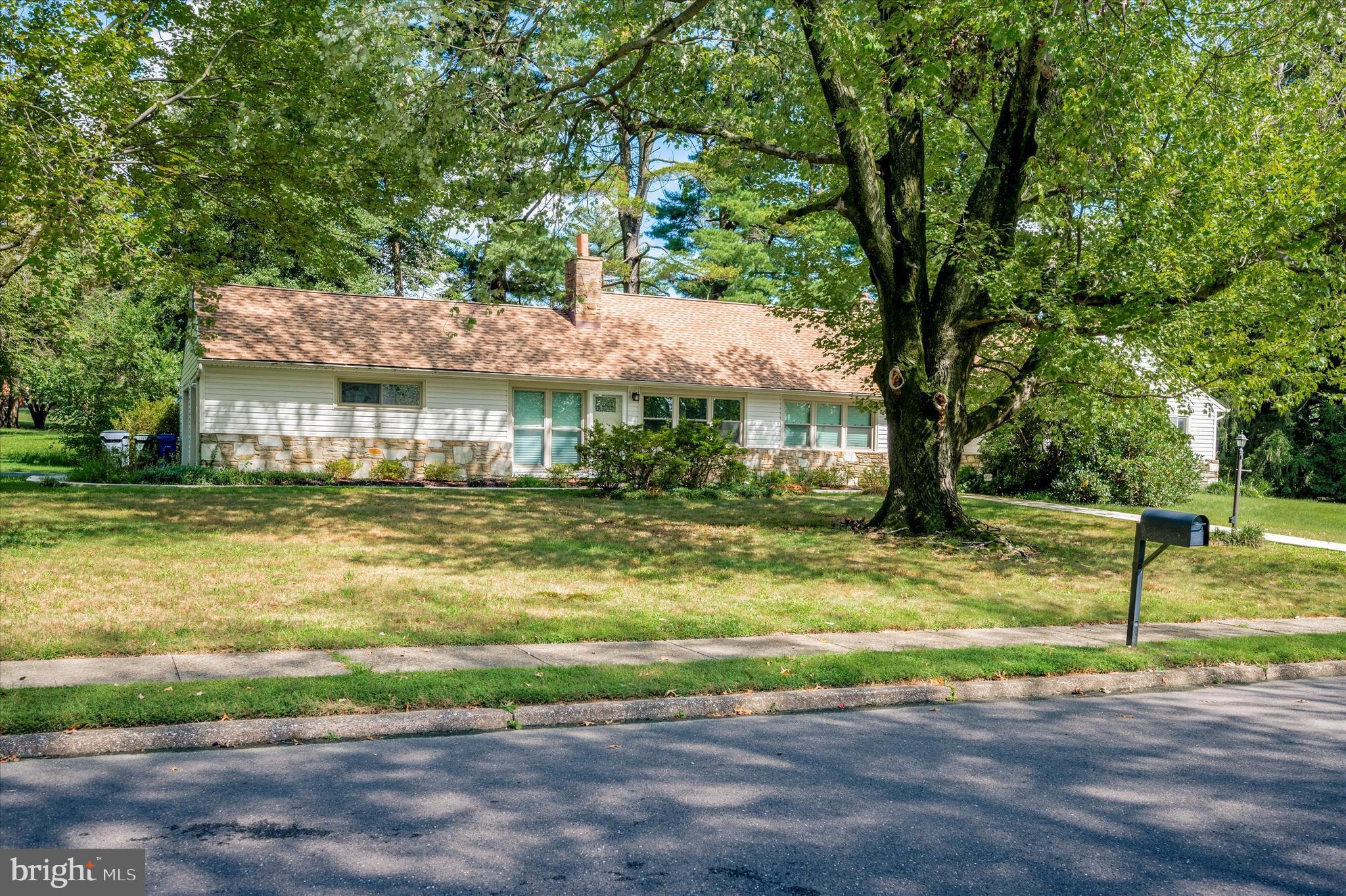 835 Llanfair Road Jenkintown, PA 19046 - Photo 34 of 34 Rear Yard