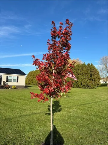 $279,900 | 2030 Townsend Road, Milo, NY 14527