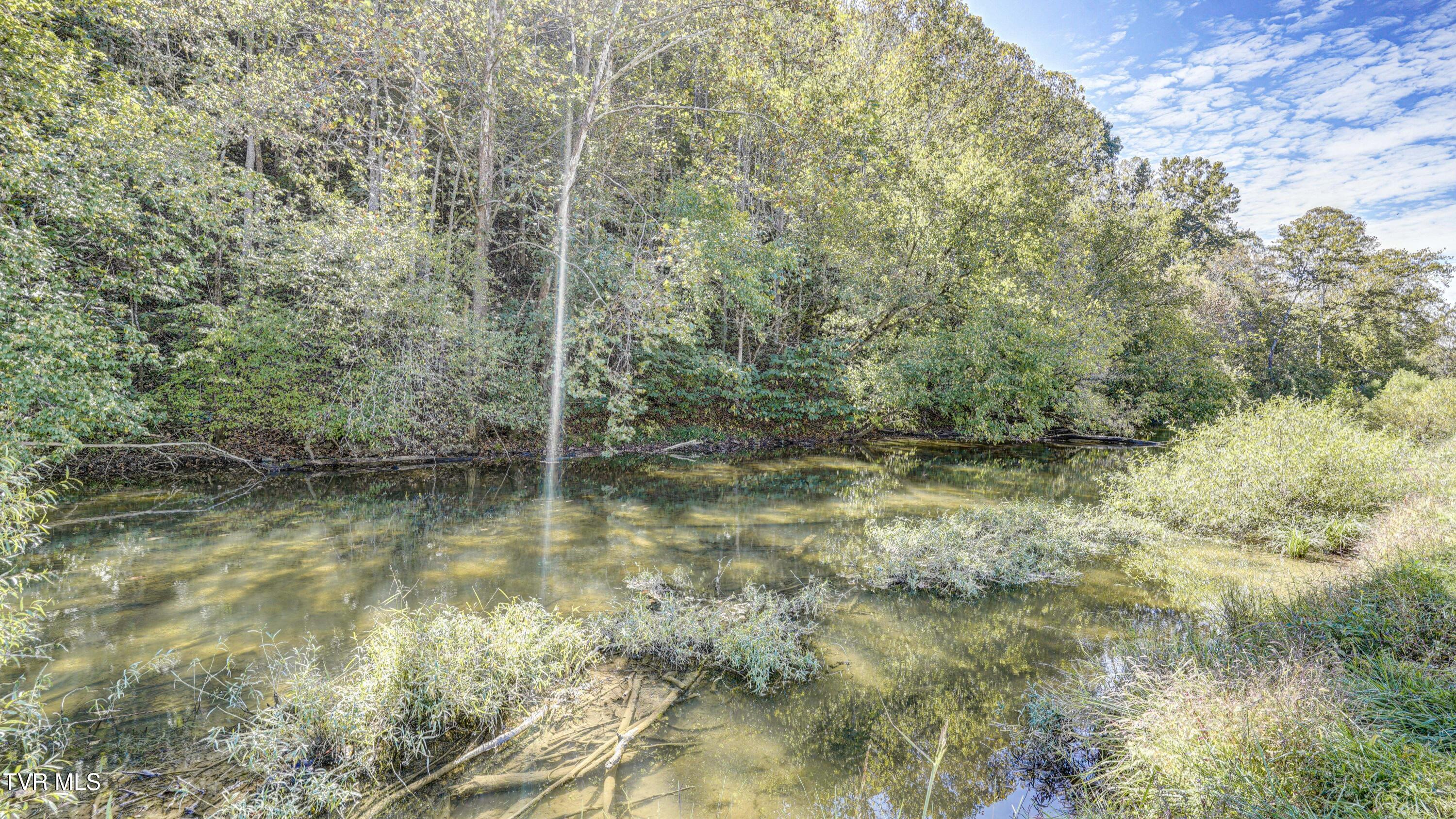 2388 Ruritan Run Road Gate City, VA 24251 - Photo 47 of 72 _DSC1264_5_6_7_8