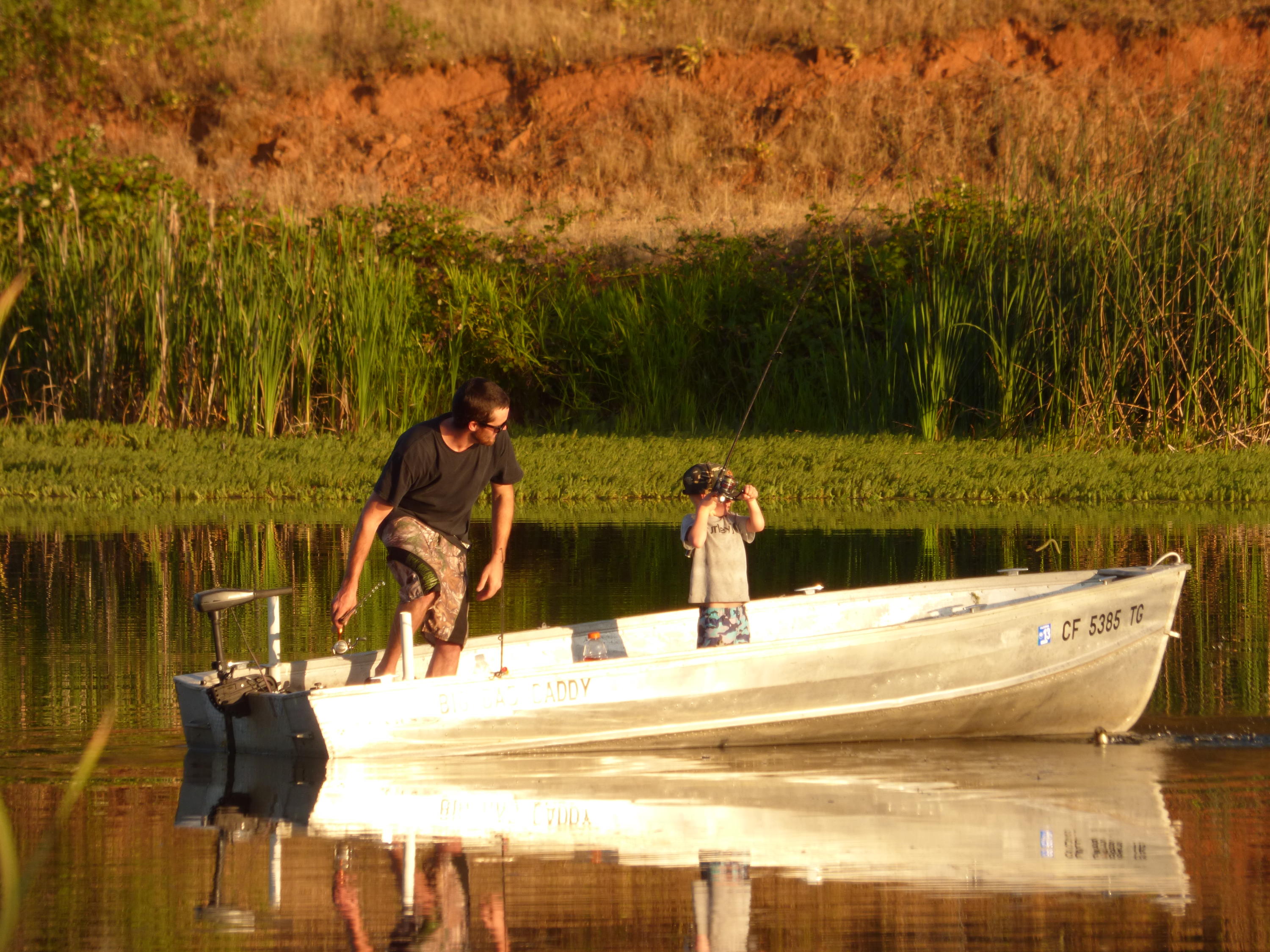 26602 Snider Ranch Road Oak Run, CA 96069 - Photo 12 of 18 a view of a swimming pool with a patio