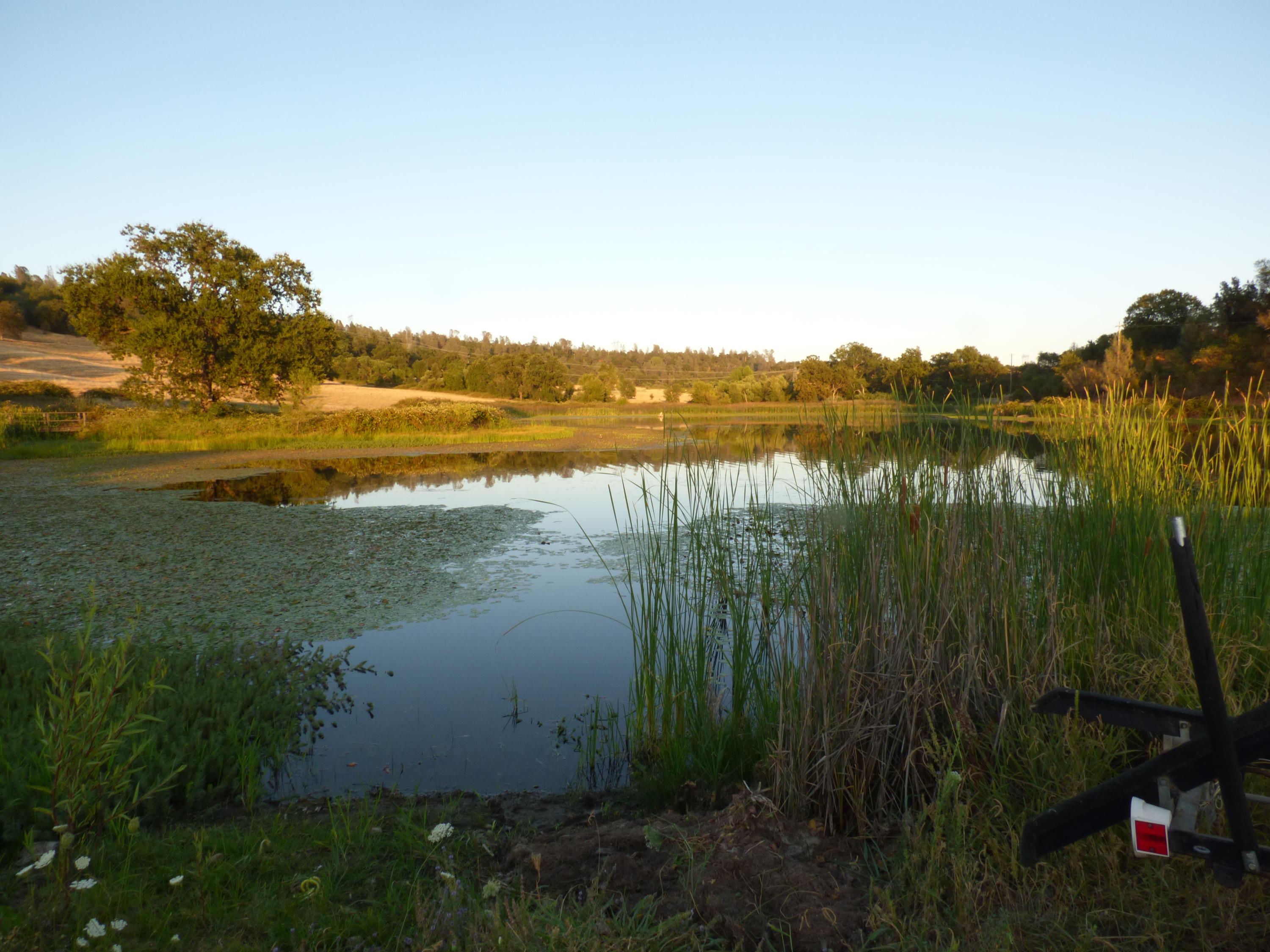 26602 Snider Ranch Road Oak Run, CA 96069 - Photo 13 of 18 a view of lake with mountain in background