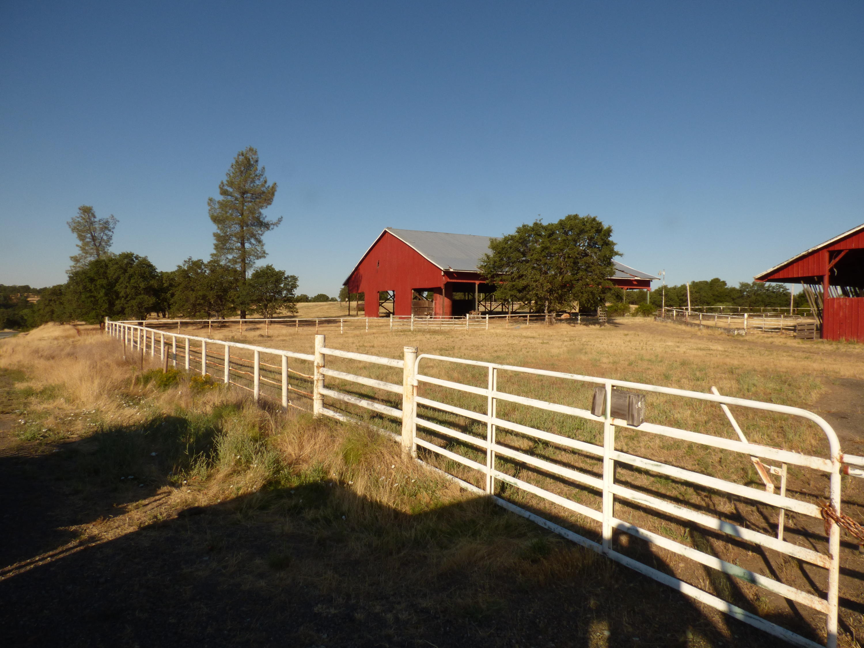 26602 Snider Ranch Road Oak Run, CA 96069 - Photo 6 of 18 a view of outdoor space and yard